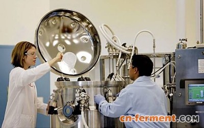 Amyris 美國工業生物技術先驅的衰落樣本與技術推廣困境