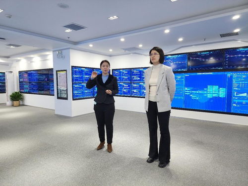 深化商務(wù)合作，探索信息賦能 中新天津生態(tài)城商務(wù)局調(diào)研上海鋼聯(lián)北京辦公區(qū)